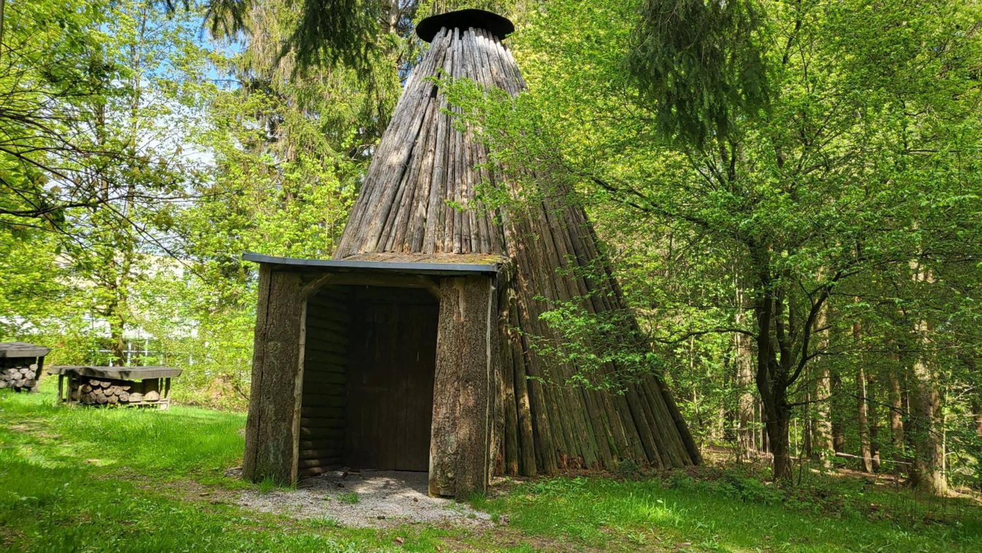 Familienwohnung Gruenwald Goslar Bagian luar foto